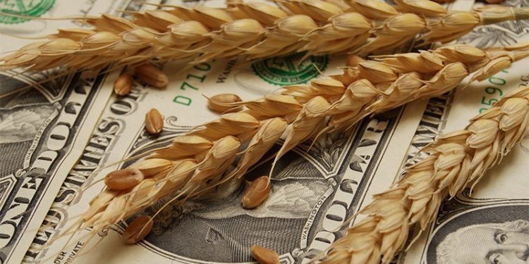 Rusya-Ukrayna savaşı nedeniyle Türkiye’yi gıda güvenliğinde kötü günler bekliyor