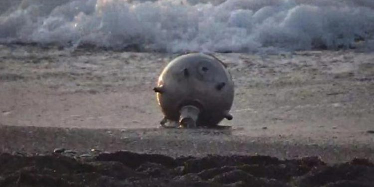 Rusya 'mayınlar sürükleniyor' dedi, Türkiye Navtex ilan etti, Ukrayna yalanladı