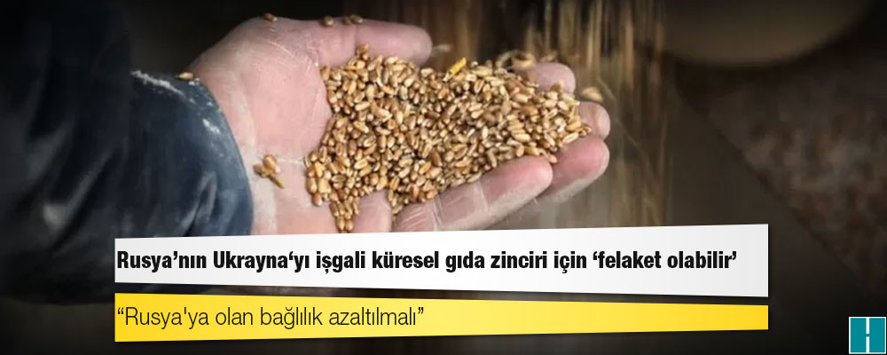 Rusya'nın Ukrayna'yı işgali küresel gıda zinciri için 'felaket olabilir'