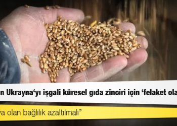 Rusya'nın Ukrayna'yı işgali küresel gıda zinciri için 'felaket olabilir'