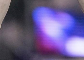 Savaş yanlısı 'Z' işareti takan Rus jimnastikçiye disiplin soruşturması