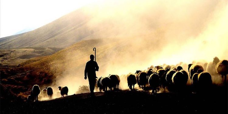 Sektör temsilcileri: Türkiye’nin et stoku azalıyor, kırmızı ete en az yüzde 30 zam gelecek
