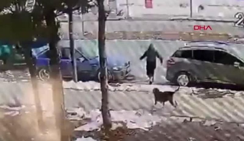 Sivas'ta köpekten kaçan 12 yaşındaki çocuğa otomobil çarptı