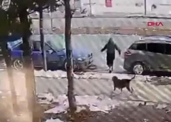Sivas'ta köpekten kaçan 12 yaşındaki çocuğa otomobil çarptı