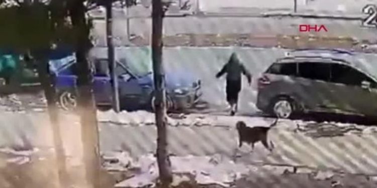 Sivas'ta köpekten kaçan 12 yaşındaki çocuğa otomobil çarptı