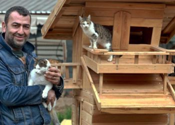 Sokak hayvanları derneği başkanına 'görevi kötüye kullanmak'tan hapis