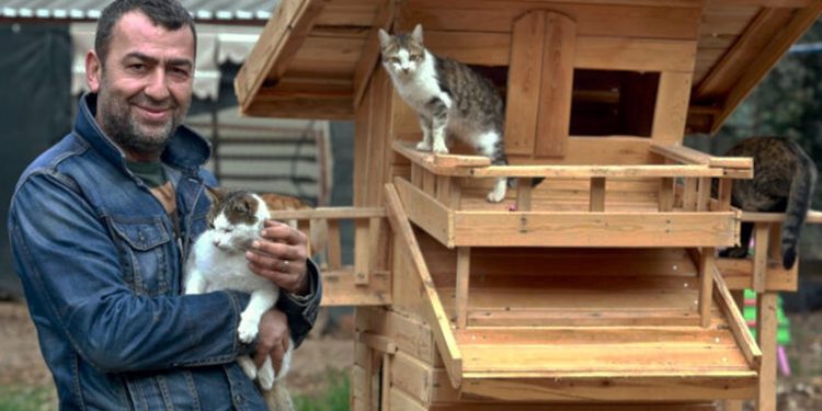 Sokak hayvanları derneği başkanına 'görevi kötüye kullanmak'tan hapis