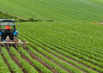 Sözcü yazarı Muratoğlu: O beş müteahhide verilen garantiler çiftçiye verilse ülke ambara dönerdi