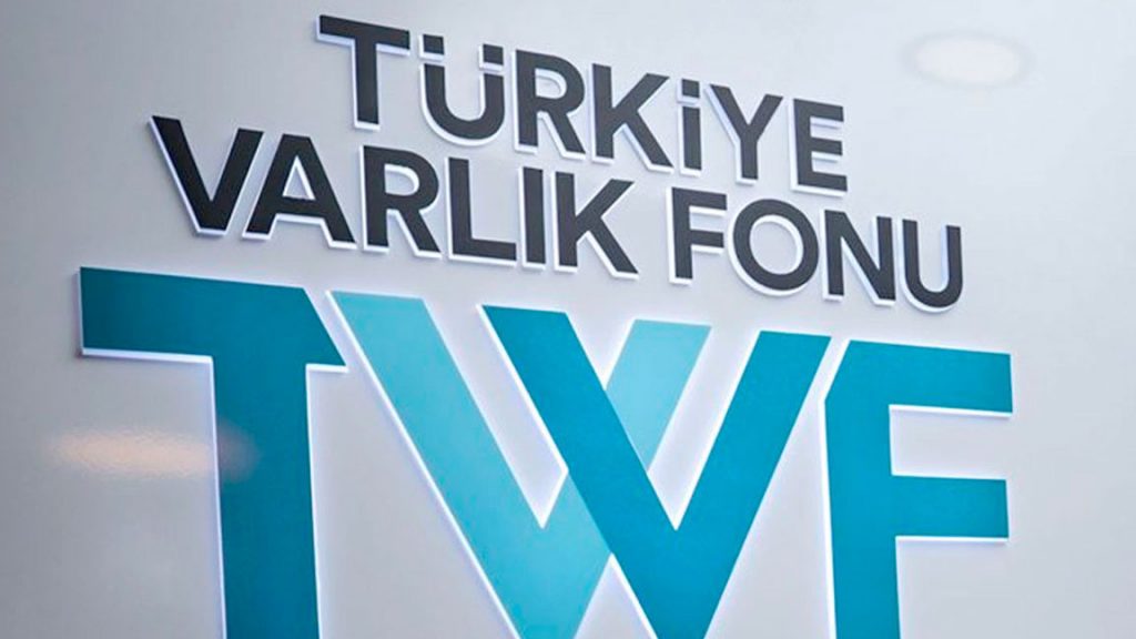 Türkiye Varlık Fonu'ndan kamu bankalarına sermaye desteği