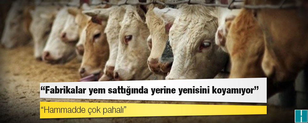 Türkiye Yem Sanayicileri Birliği: Fabrikalar yem sattığında yerine yenisini koyamıyor