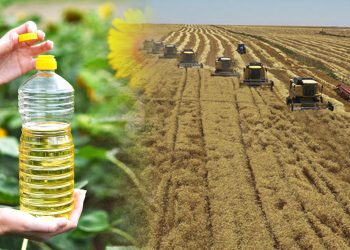 TMO'dan ayçiçeği yağı ve buğday açıklaması