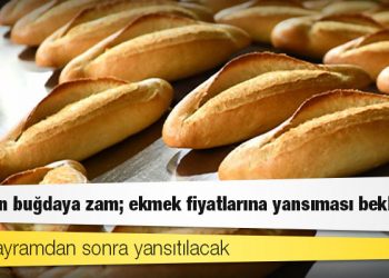 TMO'dan buğdaya zam; ekmek fiyatlarına yansıması bekleniyor