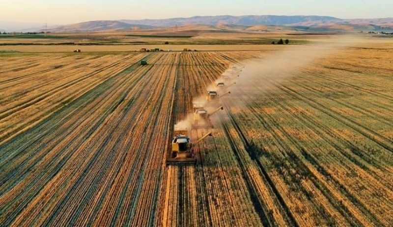 Tarım Kredi Kooperatifleri'nden gübre satış fiyatlarına zam