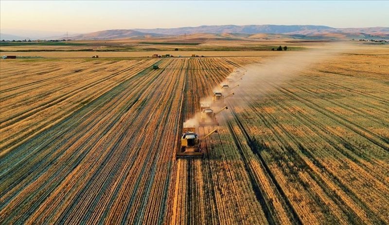 Tarımsal destek ödemeleri bugün başlıyor