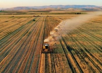 Tarım Kredi Kooperatifleri'nden gübre satış fiyatlarına zam
