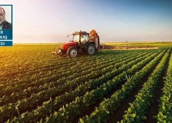 Tarımda neler oluyor? (1)