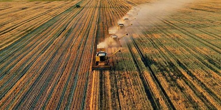 Tarımsal girdi enflasyonunda rekora devam