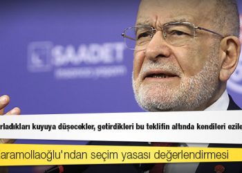 Temel Karamollaoğlu'ndan seçim yasası değerlendirmesi: Kendi hazırladıkları kuyuya düşecekler, getirdikleri bu teklifin altında kendileri ezilecek