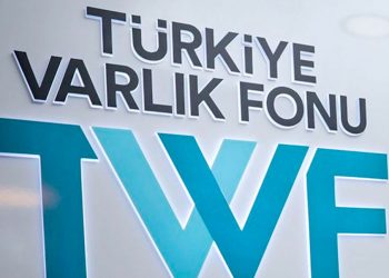 Türkiye Varlık Fonu'ndan kamu bankalarına sermaye desteği