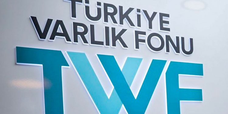 Türkiye Varlık Fonu'ndan kamu bankalarına sermaye desteği