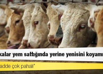 Türkiye Yem Sanayicileri Birliği: Fabrikalar yem sattığında yerine yenisini koyamıyor