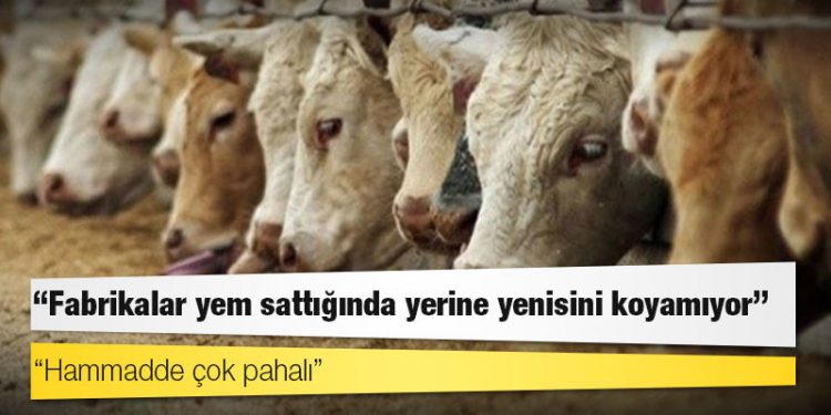 Türkiye Yem Sanayicileri Birliği: Fabrikalar yem sattığında yerine yenisini koyamıyor