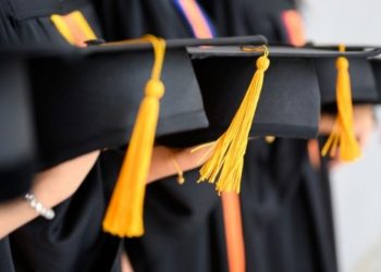 Türkiye'de üniversite mezunlarının işsizlik oranı ilkokul mezunlarından daha yüksek