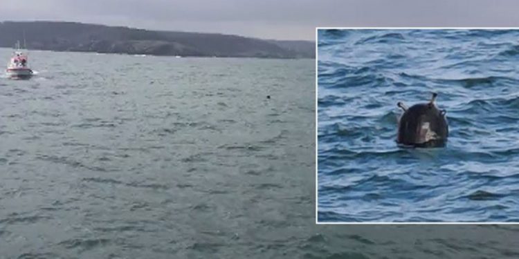 Ukrayna, Karadeniz'de görülen deniz mayınlarından Rusya'yı sorumlu tuttu