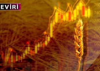 Ukrayna savaşı, Türkiye dahil birçok ülkede gıda kıtlığına yol açabilir