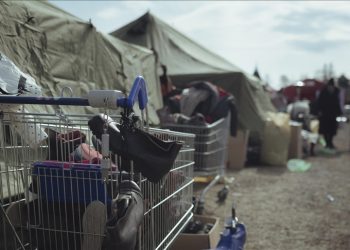 Ukrayna’dan insani yardım çağrısı