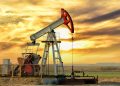 Uluslararası Enerji Ajansı: Acil durum rezervi kapsamında 61,7 milyon varil petrol kullanılacak