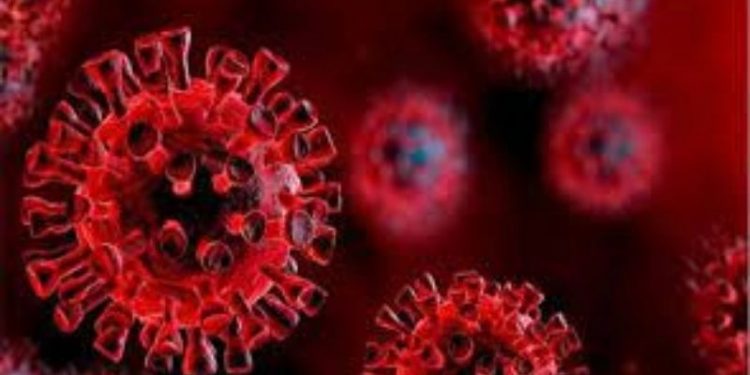 Vaka sayısında yükseliş: 24 bin 404 yeni vaka, 133 can kaybı