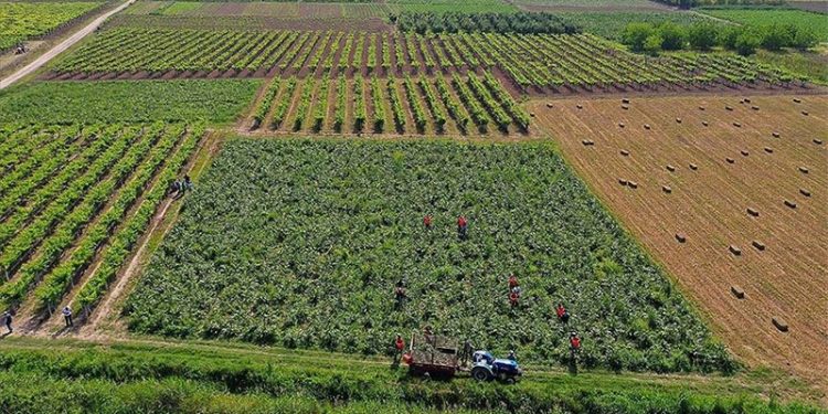 'Verilen destekle iki çuval gübre, iki depo mazot alamıyoruz'