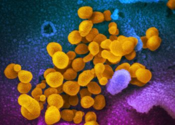 Yeni koronavirüs varyantı ‘deltacron’: DSÖ neden ‘kaygılanmayın’ diyor?