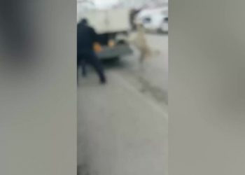Yozgat'ta belediye ekiplerinin sokak köpeklerini zehirlediği iddia edildi