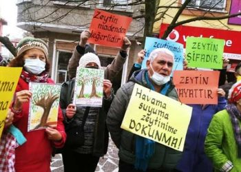 Çevre örgütleri, zeytinlikleri madenciliğe açacak yönetmeliğe karşı ayakta
