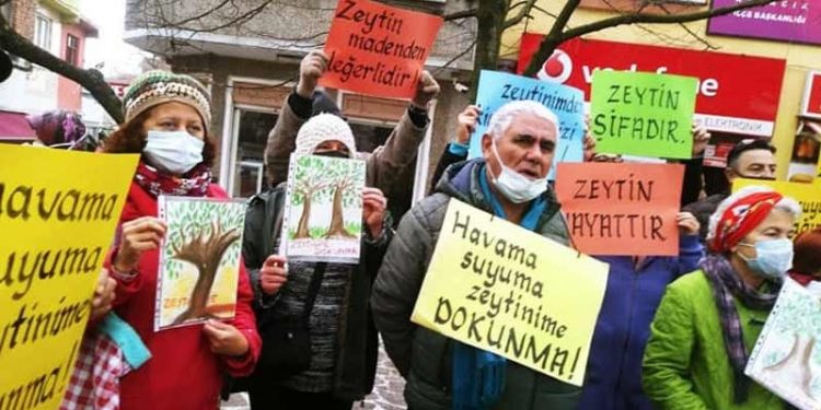 Çevre örgütleri, zeytinlikleri madenciliğe açacak yönetmeliğe karşı ayakta