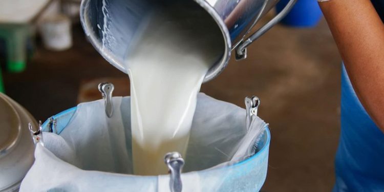 Üreticiler, çiğ sütün satış fiyatında artış talep etti