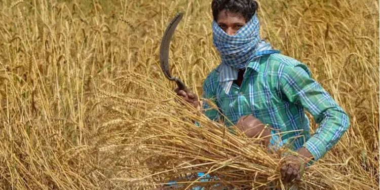 İktidar yerli çiftçiyi bıraktı, yabancı çiftçiye 126 milyar dolar akıttı