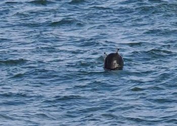 İstanbul Boğazı’nda ‘mayın’ paniği!