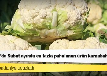 İstanbul'da Şubat ayında en fazla pahalanan ürün karnabahar oldu