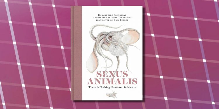 'Şarkı söyleyen' penisten erkekleşen dişilere; işte hayvanların ilginç cinsel dünyası