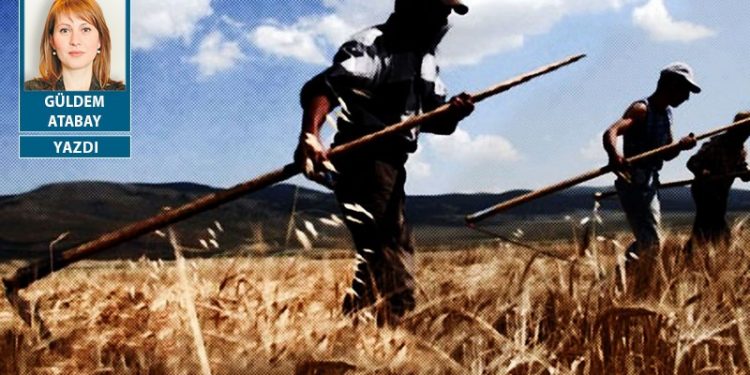 ‘Allah yardım etsin’ ama tarımda işini yapmayan hükümete etmiyor işte