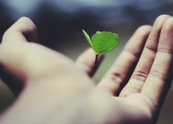 ‘Yaralara merhem olmak’ hedefiyle yola çıktılar,  travma mağdurlarıyla 5 bin görüşme yaptılar