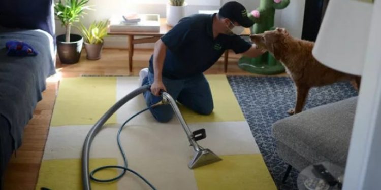 37 dil bilip 24'ünü akıcı konuşan halı yıkamacının beyni incelendi: Şaşırtan sonuç