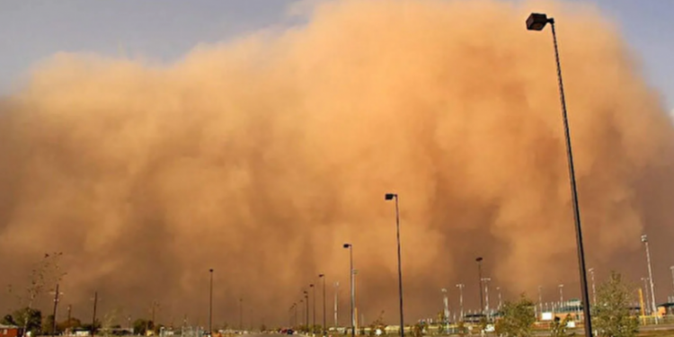 717 kişi hastanelik olunca hükümet 'hava durumu' açıklamalarını yasakladı!