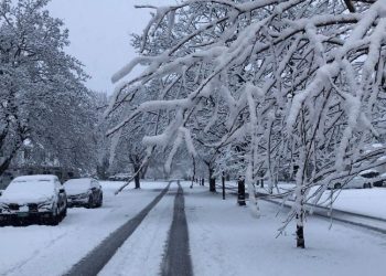 ABD'de kar fırtınası: 300 bin kişi elektriksiz kaldı