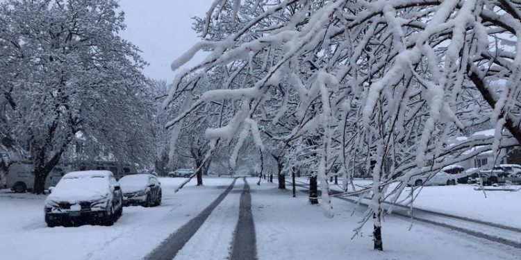 ABD'de kar fırtınası: 300 bin kişi elektriksiz kaldı