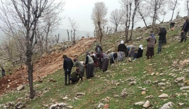 Adıyaman’da kadınların direnişi iş makinelerini durdurdu