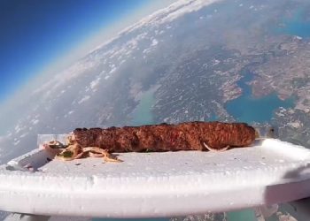 Adana’dan uzaya gönderilmek istenen kebap Hatay’da denize düştü